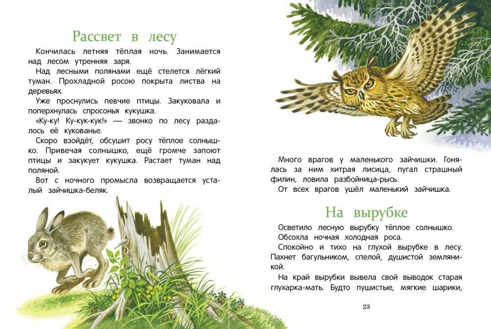 Рассказы о природе фото книги 3