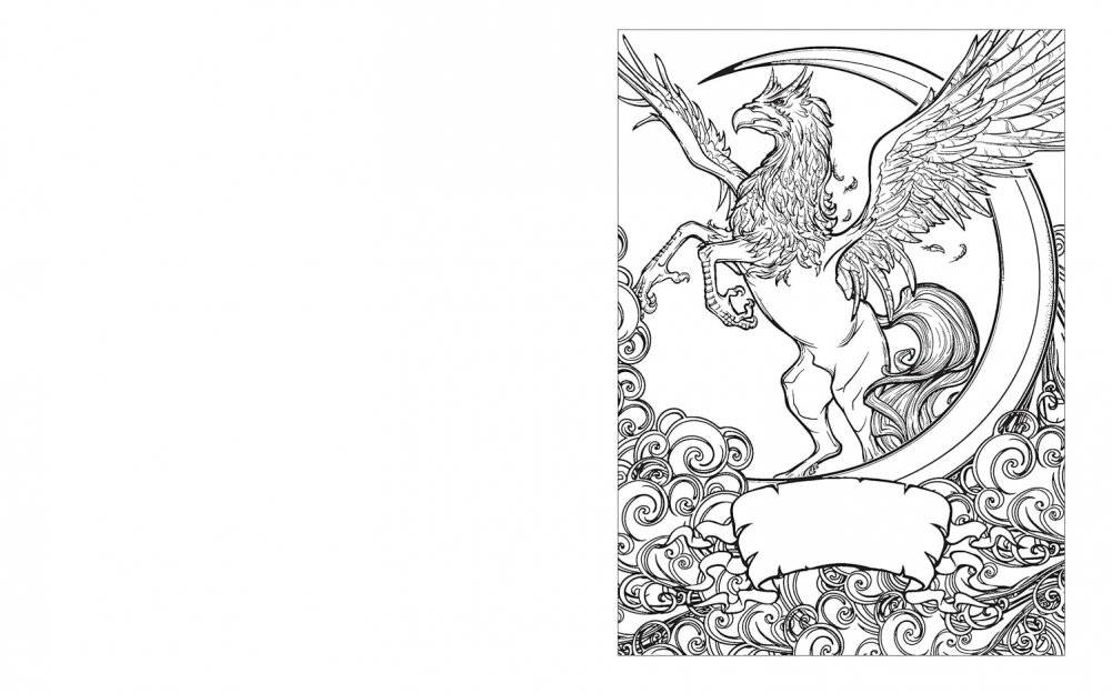 Fantasy Colouring Book фото книги 3