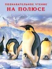 На полюсе | At the Pole