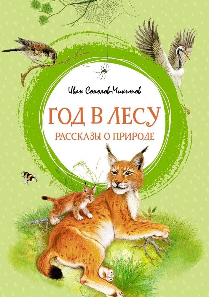 Год в лесу. Рассказы о природе | A Year in the Forest: Stories of Nature