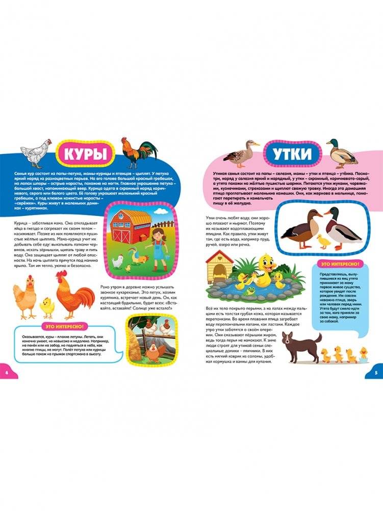 Птицы для малышей. Первая энциклопедия для самых маленьких фото книги 2