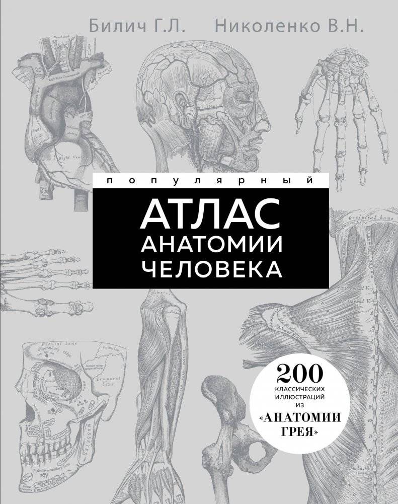 Популярный атлас анатомии человека. 200 классических иллюстраций из «Анатомии Грея» | Popular Human Anatomy Atlas: 200 Classic Illustrations from Gray's Anatomy