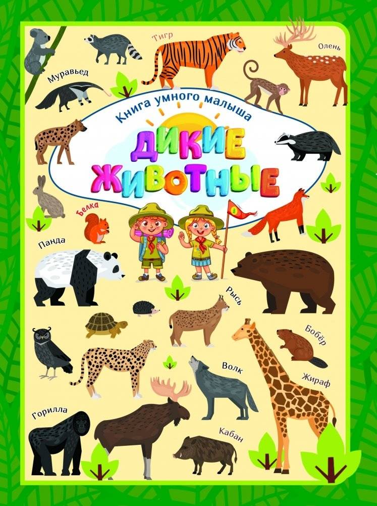 Дикие животные | Wild Animals