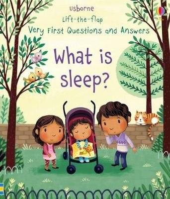Что такое сон? | What is Sleep?