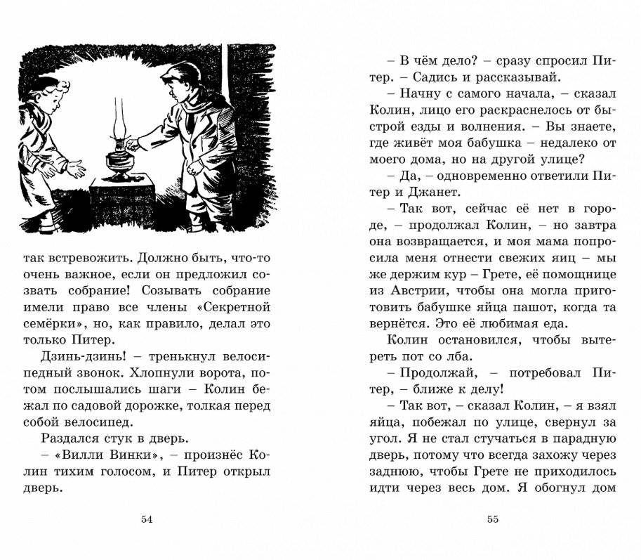Странная кража фото книги 6