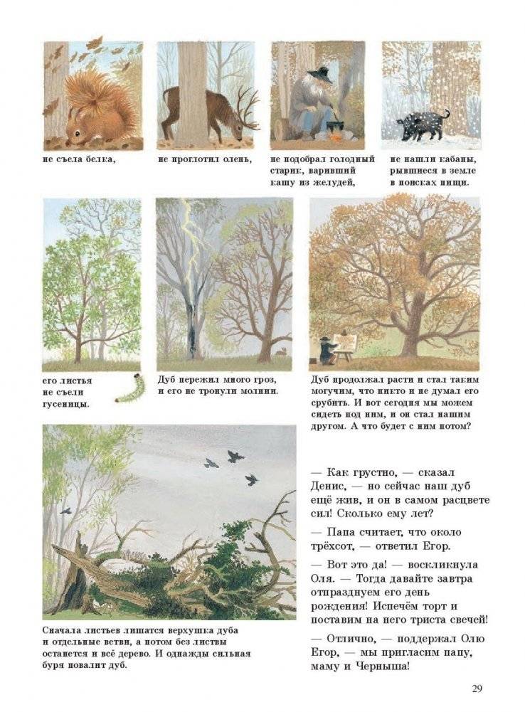 Наше дерево фото книги 7