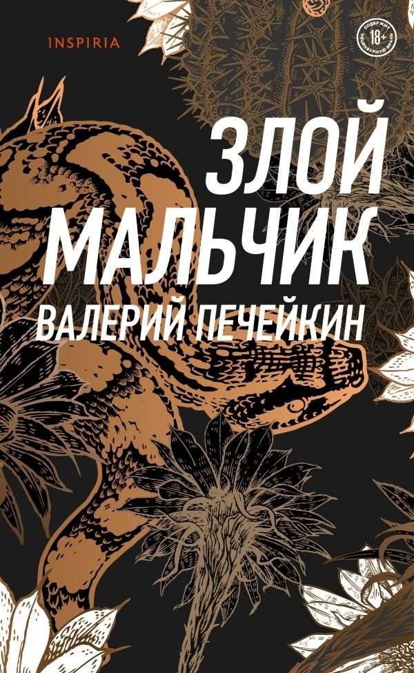 Злой мальчик | Bad Boy