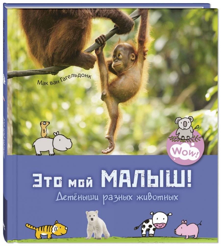 Это мой малыш! Детёныши разных животных | That's My Baby! Animal Babies