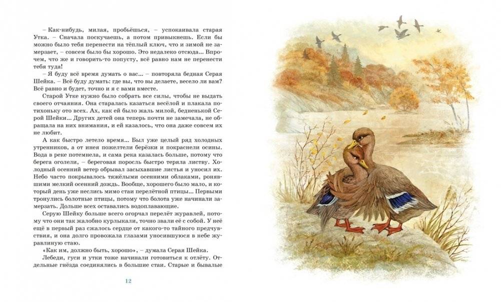 Серая шейка. Рассказы фото книги 4