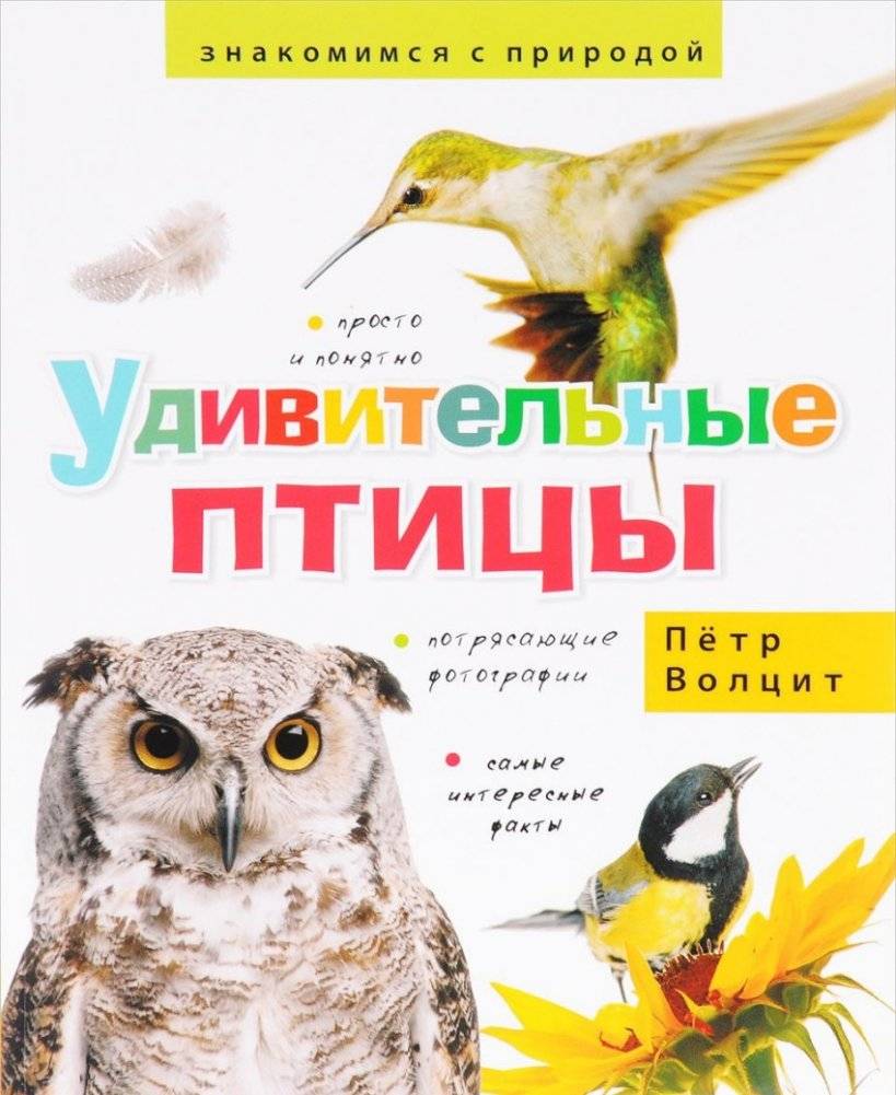 Удивительные птицы | Amazing Birds