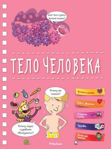 Тело человека | The Human Body