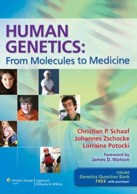 Генетика человека: от молекул до медицины | Human Genetics: From Molecules to Medicine