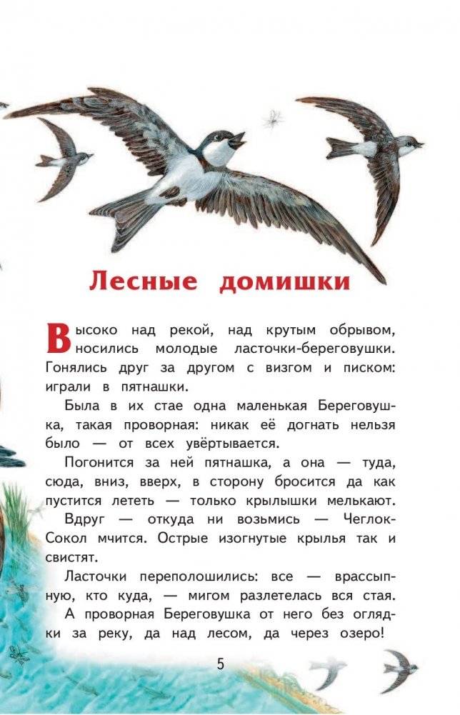Лесные домишки фото книги 4