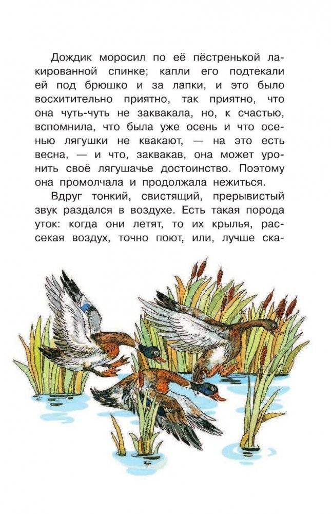 Лягушка-путешественница и другие сказки о животных фото книги 6