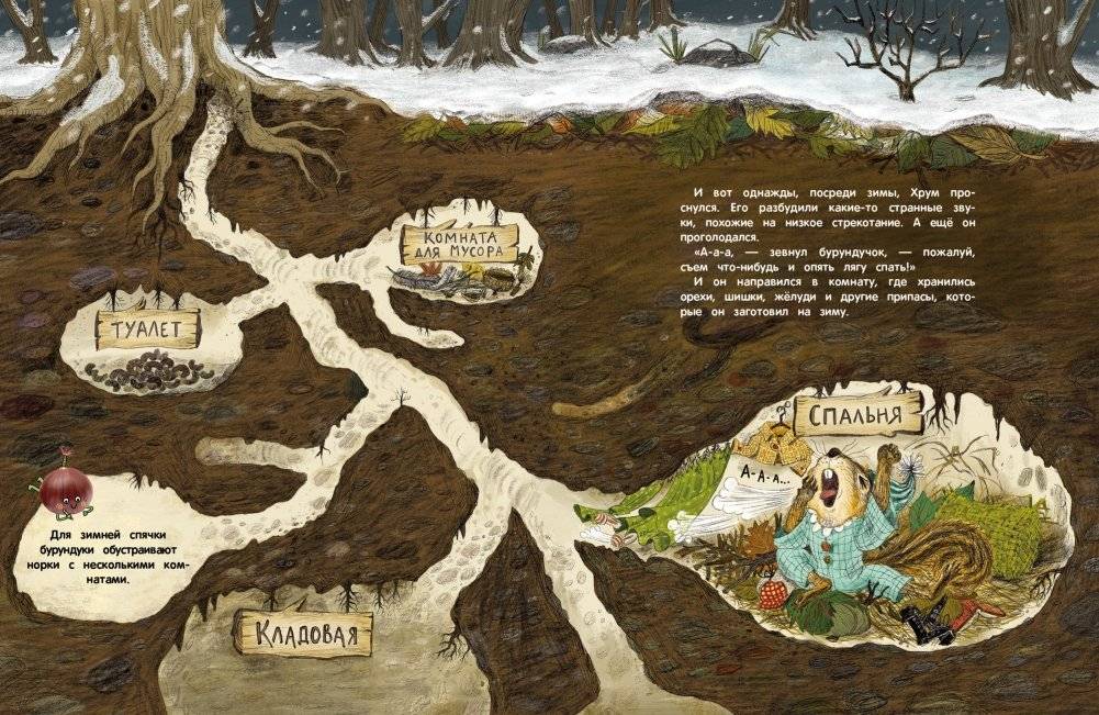 Кто украл орехи? фото книги 2