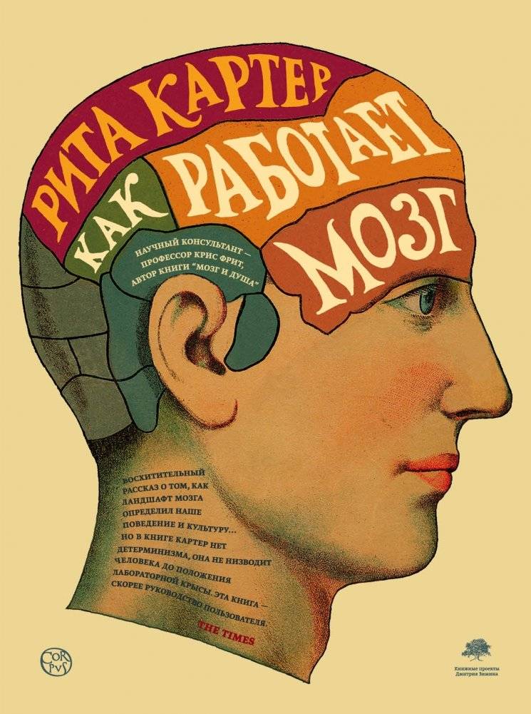 Как работает мозг | How the Brain Works