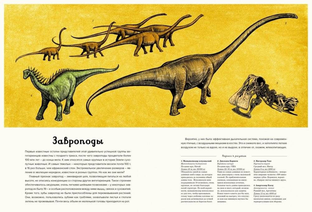 Динозавриум фото книги 6