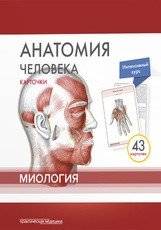 Анатомия человека. Миология (43 карточки) | Human Anatomy: Myology (43 Cards)