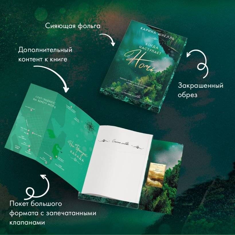 Когда наступает ночь фото книги 5