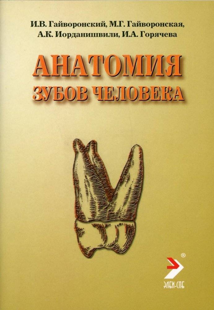 Анатомия зубов человека. Учебное пособие | Human Tooth Anatomy: A Study Guide