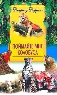 Поймайте мне колобуса | Catch Me a Colobus