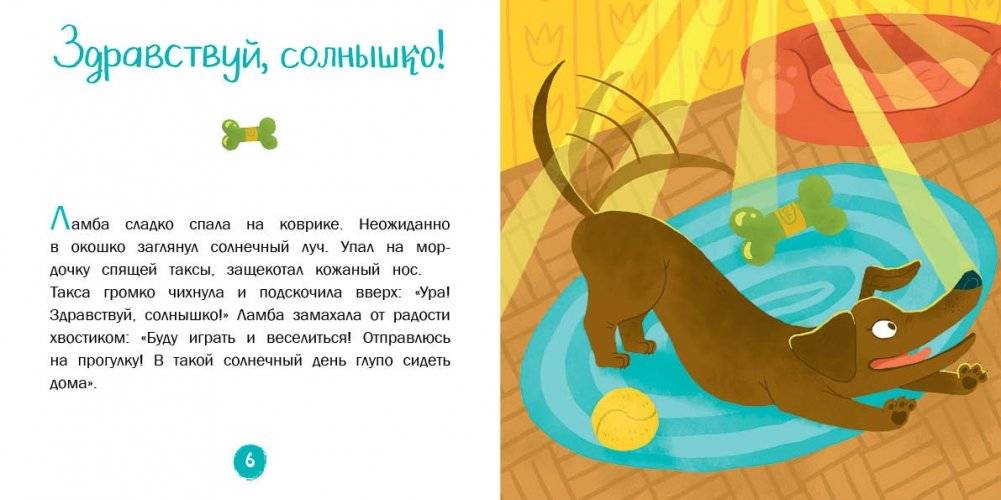Волшебный нос. 30 историй для первого чтения фото книги 5