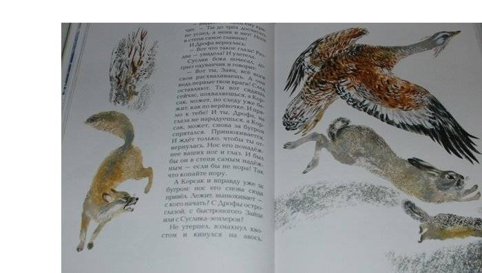 С севера на юг фото книги 5