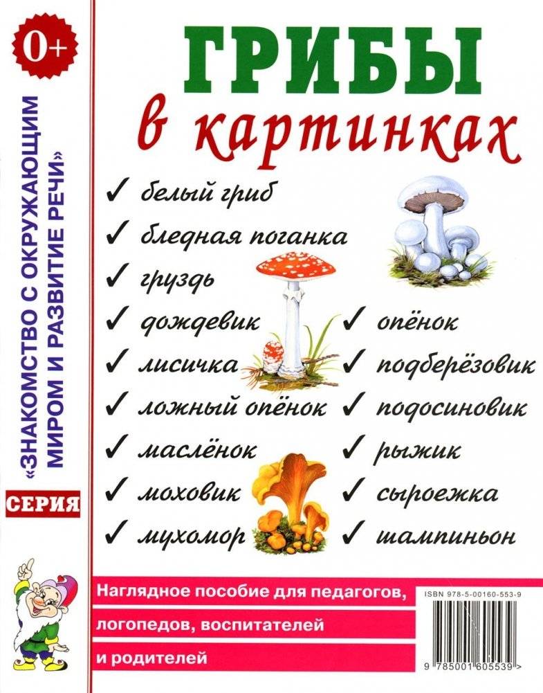Грибы в картинках. Наглядное пособие для воспитателей, логопедов, педагогов, родителей | Mushrooms in Pictures: A Visual Aid for Educators and Parents