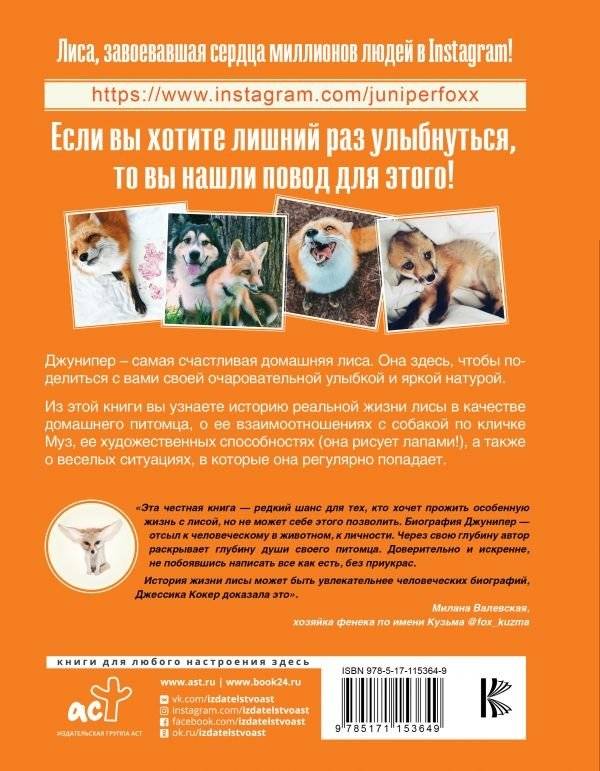 Счастливая лиса Джунипер фото книги 2