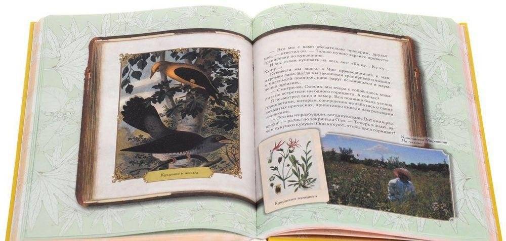Солнце для кузнечиков. Олеськины рассказы фото книги 5