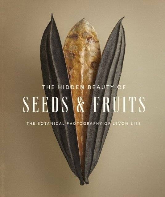 The Hidden Beauty of Seeds & Fruits: The Botanical Photography of Levon Biss | The Hidden Beauty of Seeds & Fruits: The Botanical Photography of Levon Biss