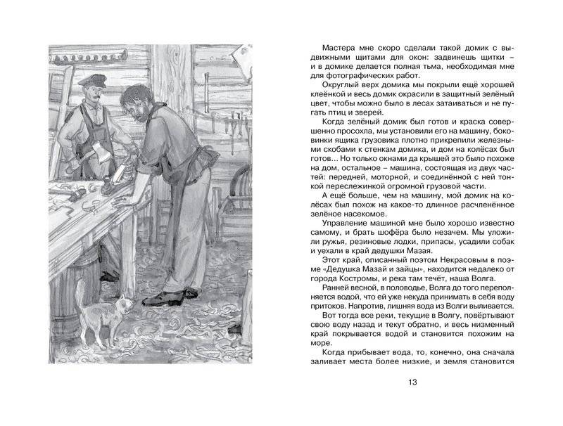 Лисичкин хлеб фото книги 8