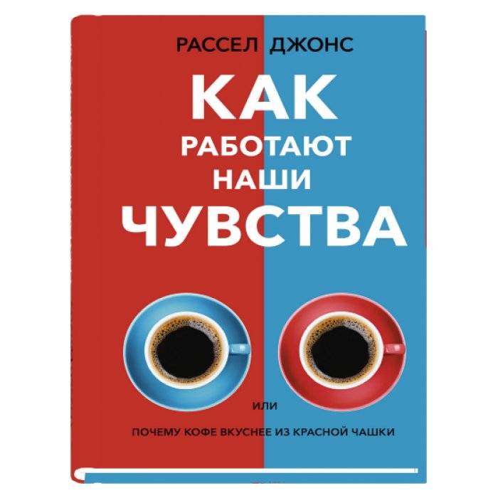 Как работают наши чувства | How Our Senses Work