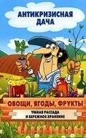 Овощи, ягоды, фрукты. Умная рассада и бережное хранение | Vegetables, Berries, Fruits. Smart Seedlings and Caring Storage