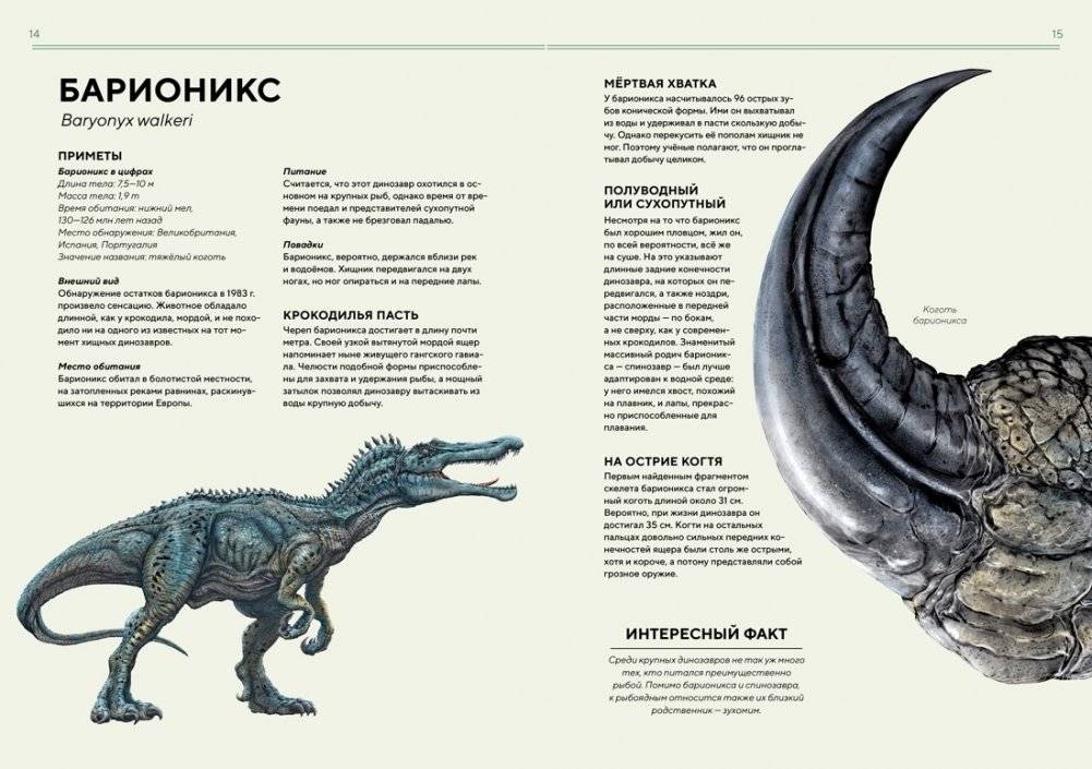 Динозавры в натуральную величину фото книги 6