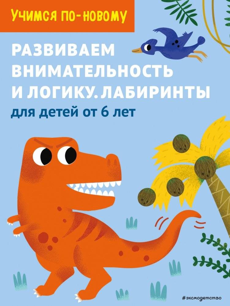 Развиваем внимательность и логику. Лабиринты: для детей от 6 лет | Developing Attention and Logic: Mazes for Children Aged 6+