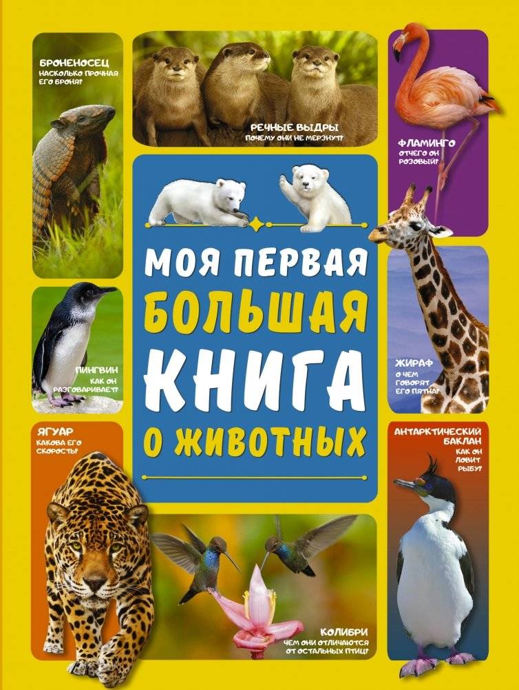 Моя первая большая книга о животных | My First Big Book of Animals