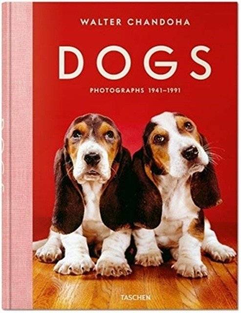 Walter Chandoha. Собаки. Фотографии 1941-1991 | Walter Chandoha: Dogs. Photographs 1941-1991