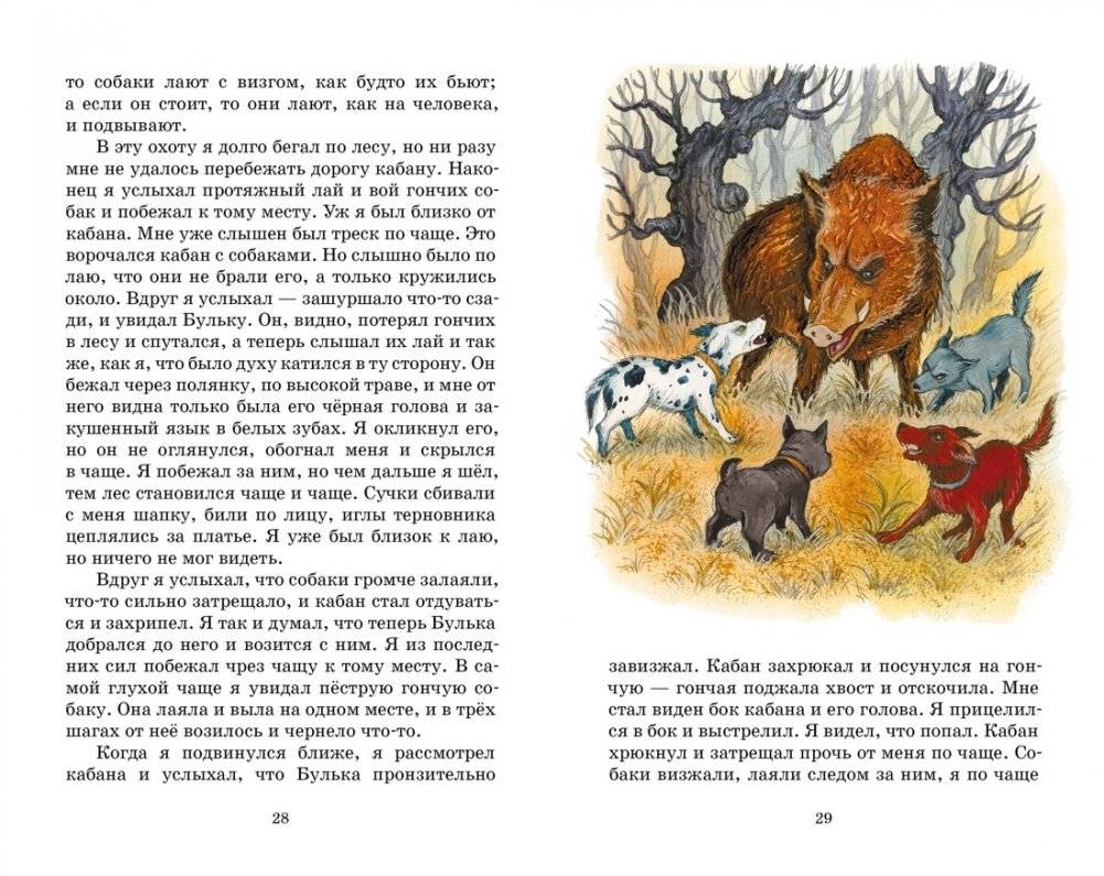 Рассказы и сказки фото книги 7