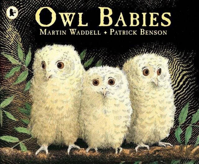 Owl babies | Owl Babies