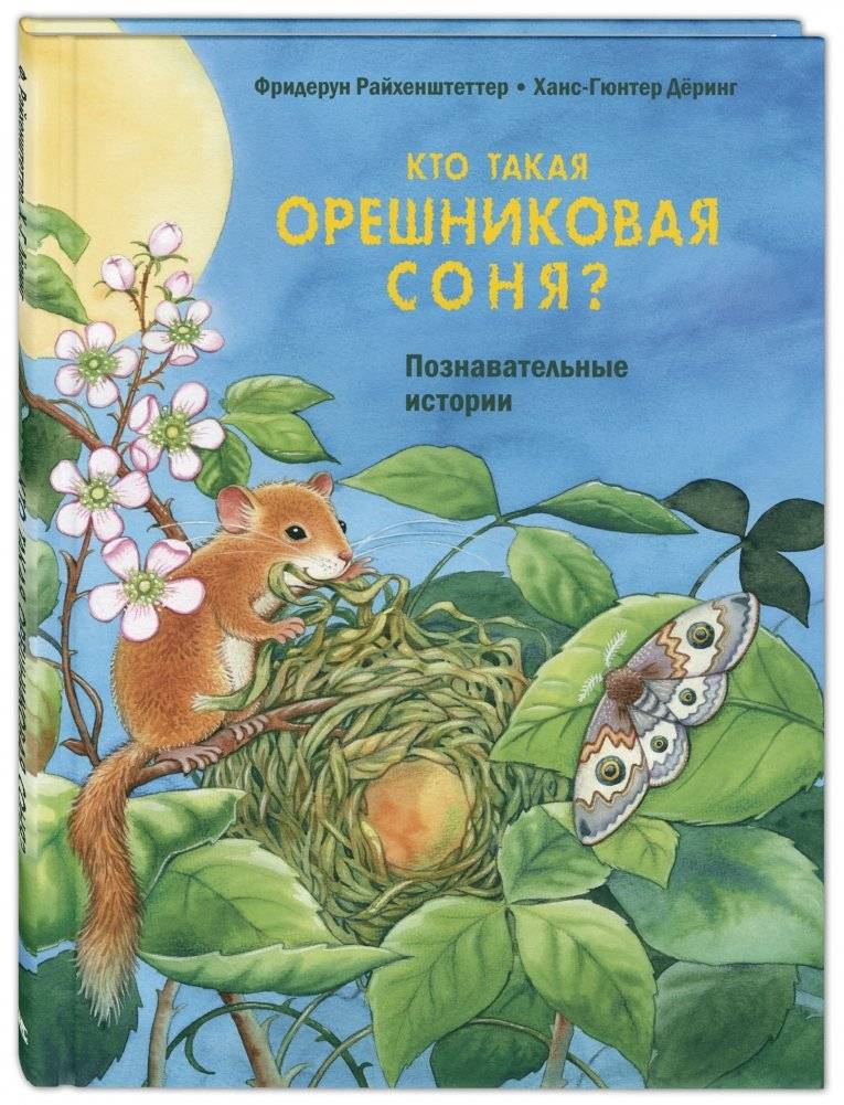 Кто такая орешниковая соня? Познавательные истории | Who Is the Hazel Dormouse? Educational Stories