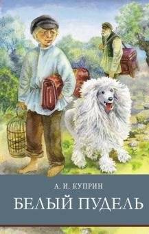 Белый пудель | White Poodle