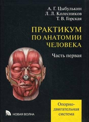 Практикум по анатомии человека. В 4-х частях. Часть 1. Опорно-двигательная система | Human Anatomy Workshop: Part 1 - Musculoskeletal System