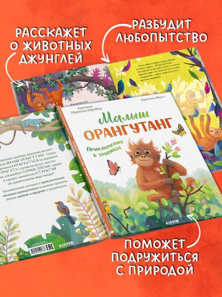 Малыш орангутанг. Приключения в тропиках фото книги 3