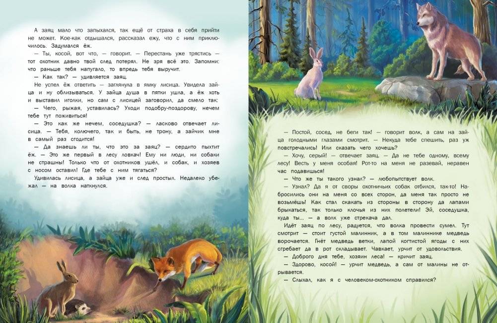 Сказки о Лапландии фото книги 4