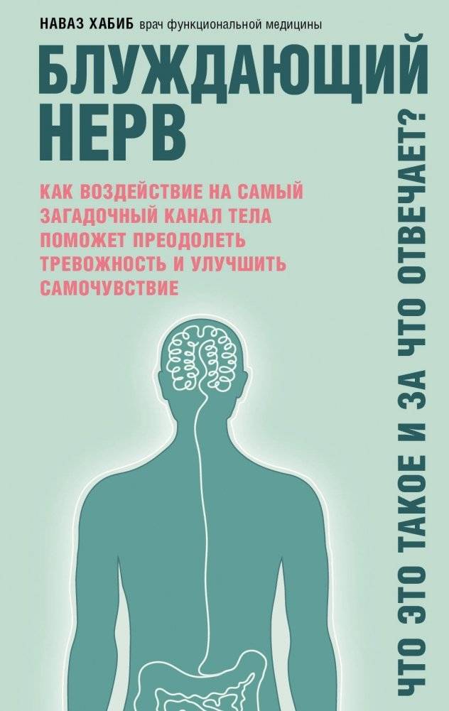 Блуждающий нерв | Wandering Nerve