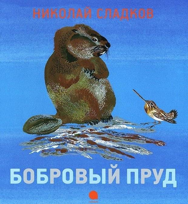 Бобровый пруд | Beaver Pond