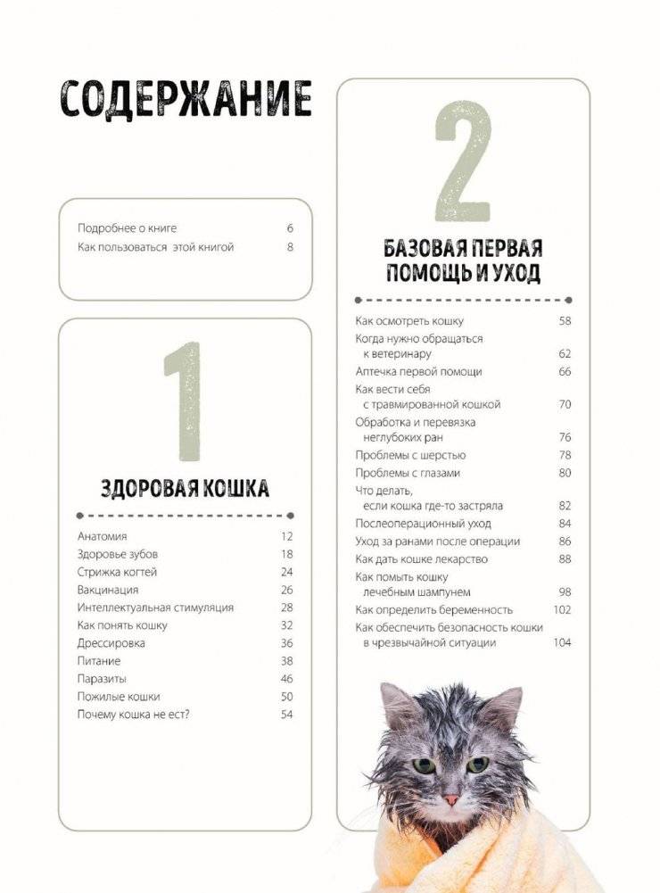 Первая помощь кошкам. Осмотр, действия в экстренных ситуациях, аптечка первой помощи, здоровье, корм фото книги 2