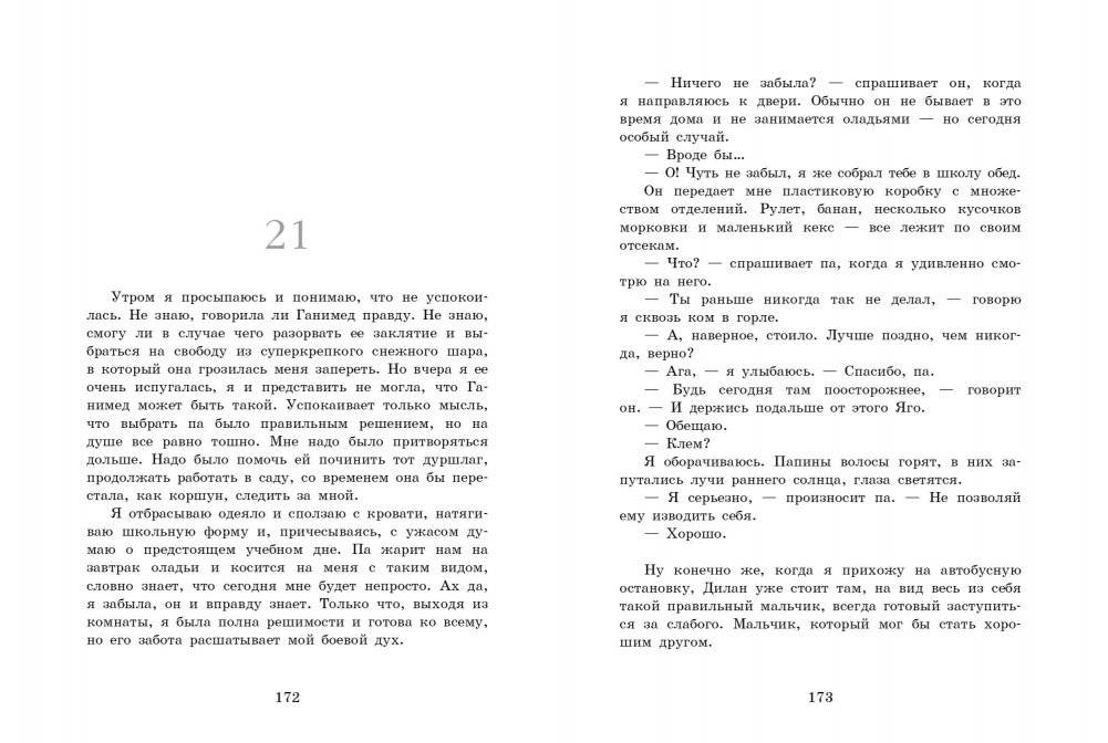 Снежный шар фото книги 4