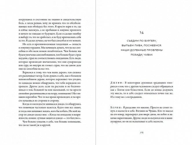 Чувак и мастер дзен фото книги 3